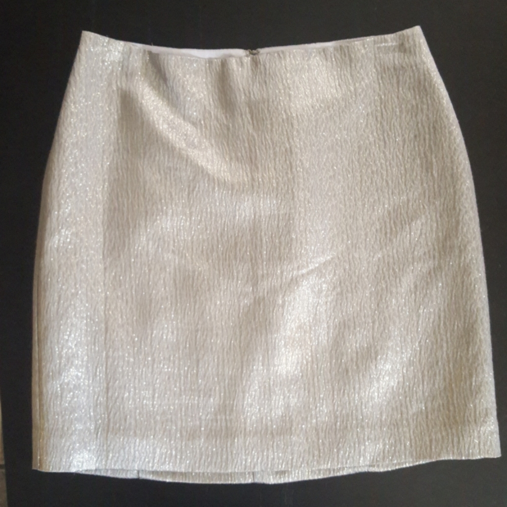 Beautiful Ann Taylor silver sparkly skirt
